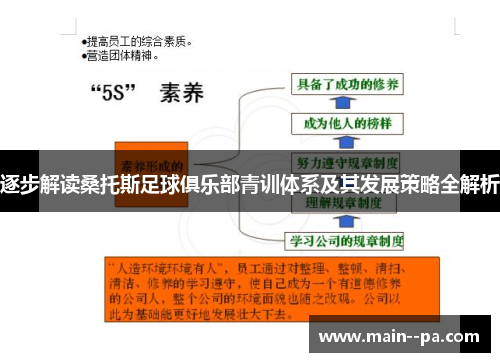 逐步解读桑托斯足球俱乐部青训体系及其发展策略全解析 逐步解读桑托斯足球俱乐部青训体系及其发展策略全解析