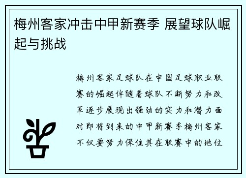 梅州客家冲击中甲新赛季 展望球队崛起与挑战 梅州客家冲击中甲新赛季 展望球队崛起与挑战